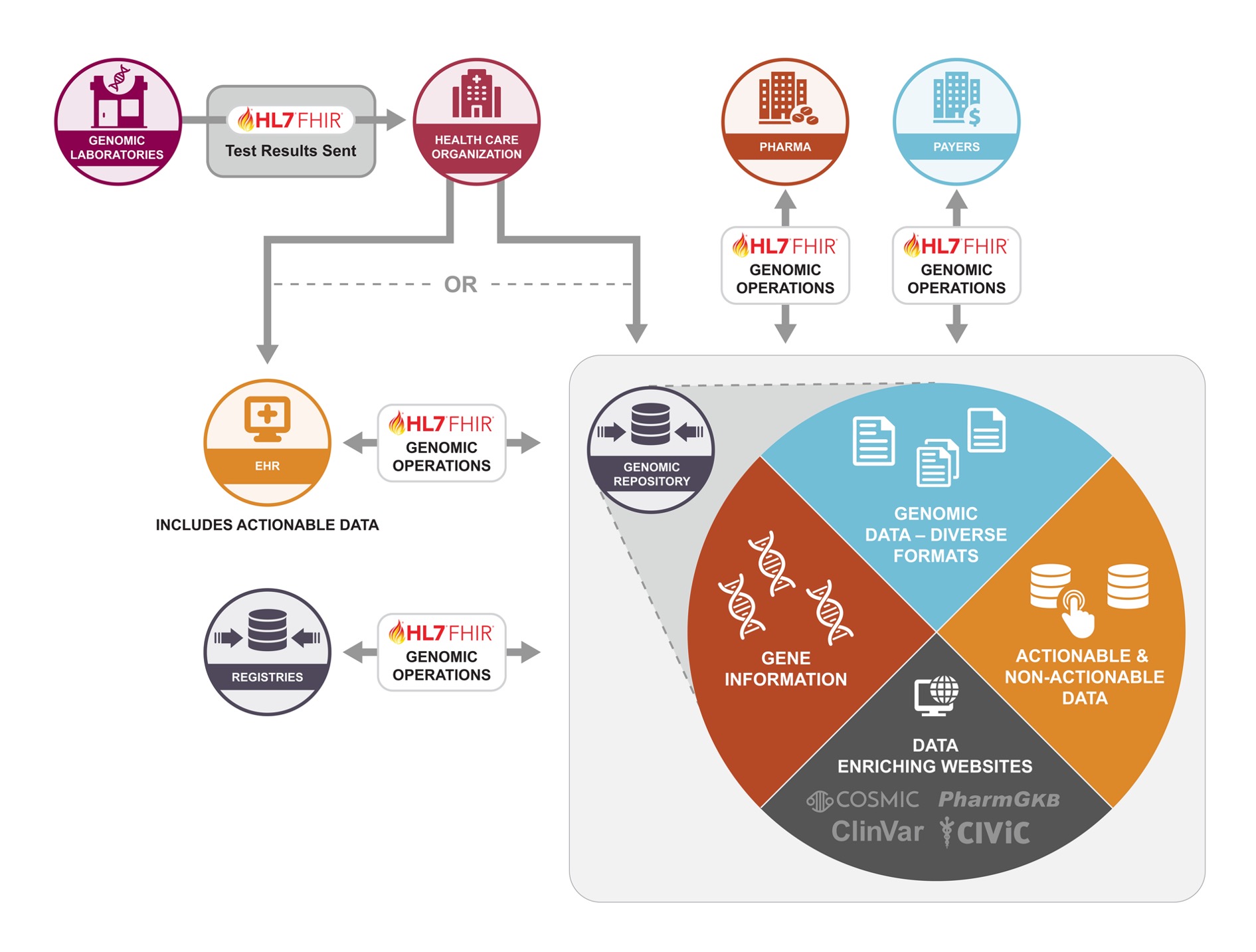 GenomeX use case diagram showing the workflow for message exchange between a genomic repository and consuming applications using FHIR.